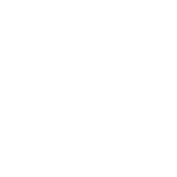 TikTok Wanmei Chinese Academy